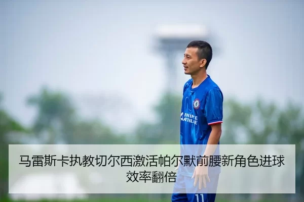 ma-lei-si-ka-zhi-jiao-qie-er-xi-ji-huo-pa-er-mo-qian-yao-xin-jue-se-jin-qiu-xiao-lv-fan-bei-2-441.jpg