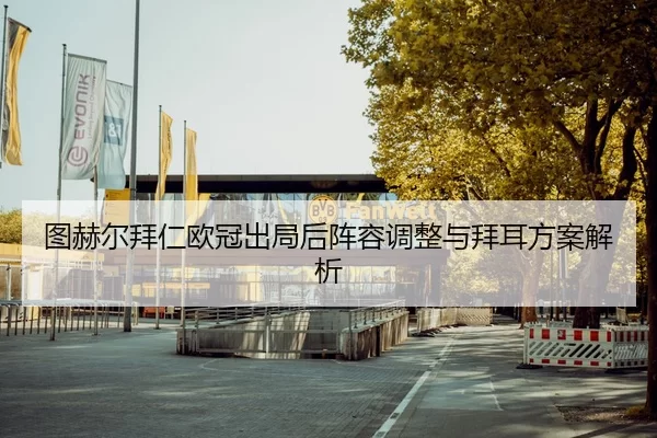 tu-he-er-bai-ren-ou-guan-chu-ju-hou-zhen-rong-tiao-zheng-yu-bai-er-fang-an-jie-xi-2-249.jpg